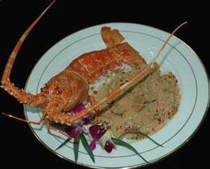 ��ɳ��Ϻ������