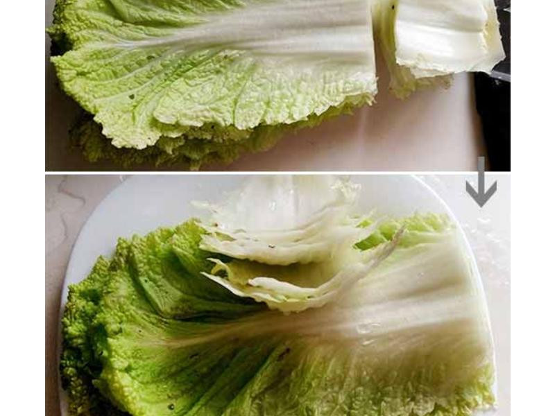 ǧ��ײ˷��������