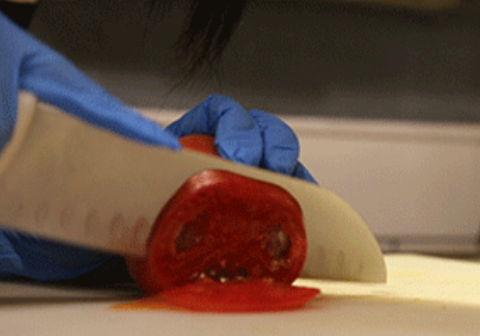 ֥ʿ��ţ�⺺��������