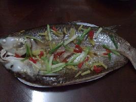 �������������