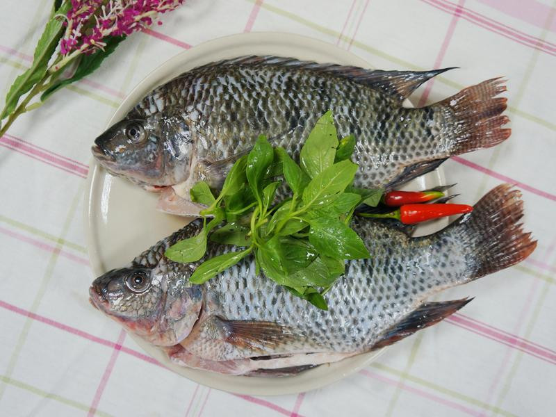 Խ����������������