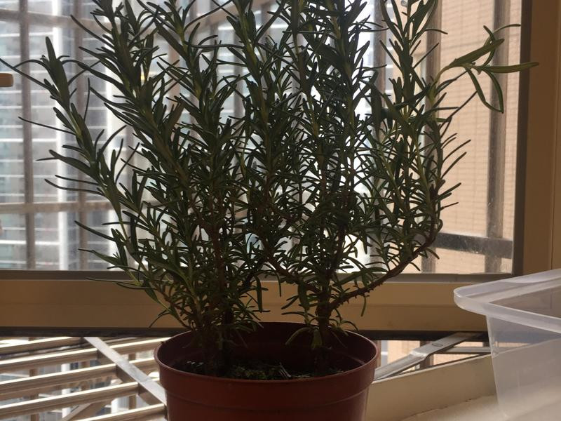 �㿾�Ե��㼦�ȵ�����