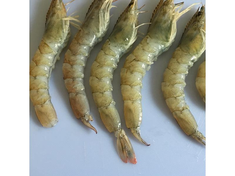 �Ϳ����㿾��Ϻ������