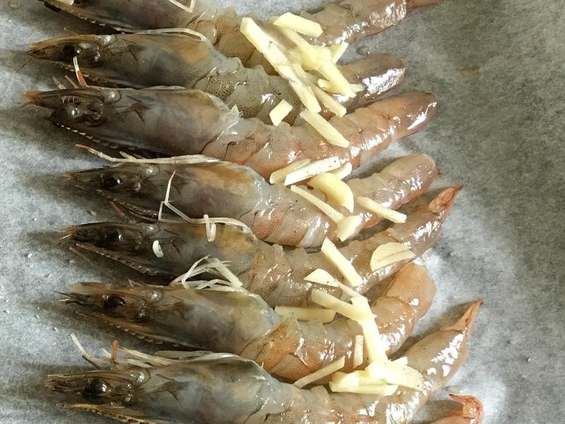 �Ϳ����㿾��Ϻ������