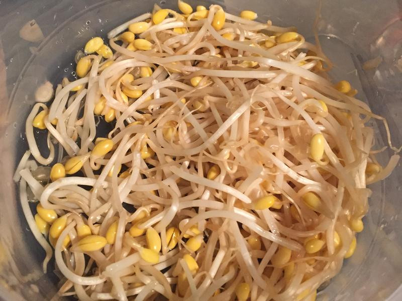 ��ʽ��ѿ��˵�����