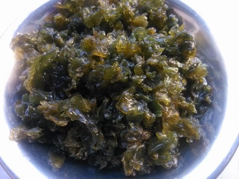 �����ľ�������˵����᡻������