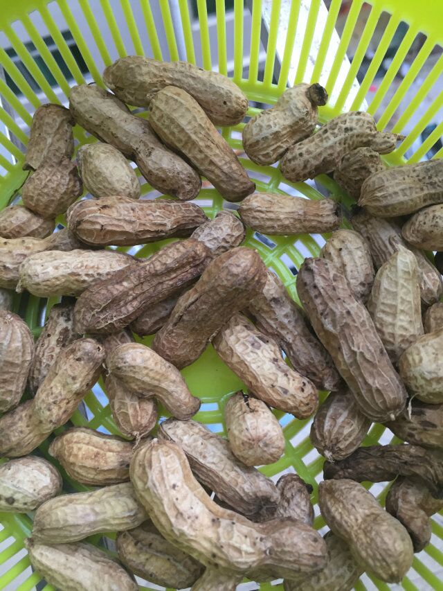 ɹԭζˮ����������