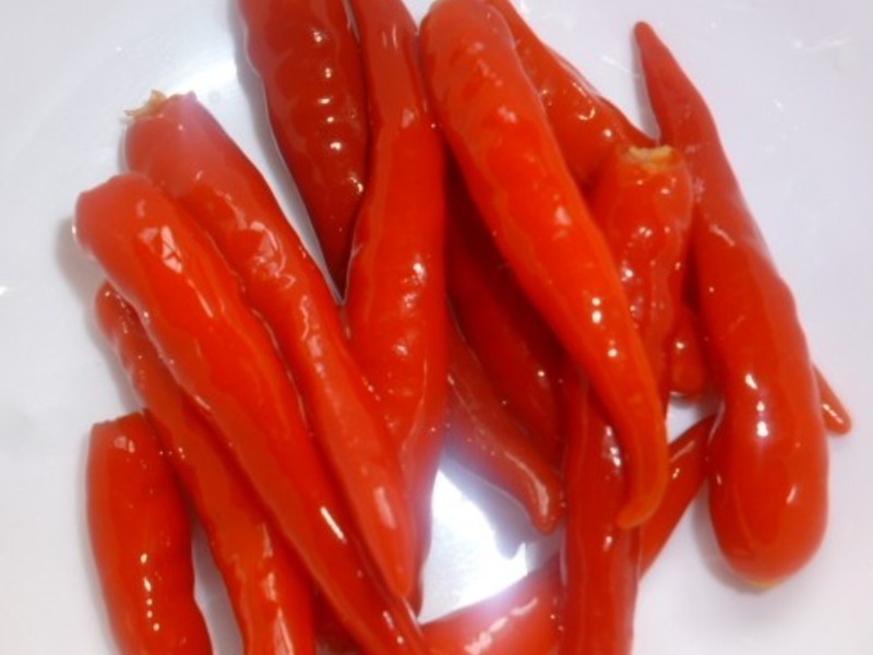 �ݽ�������������