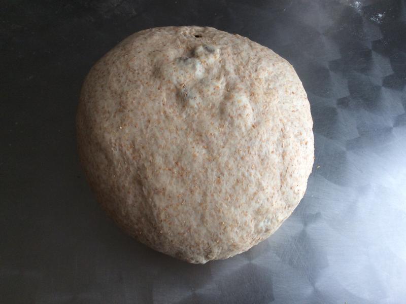 ȫ�����Ѹ����������