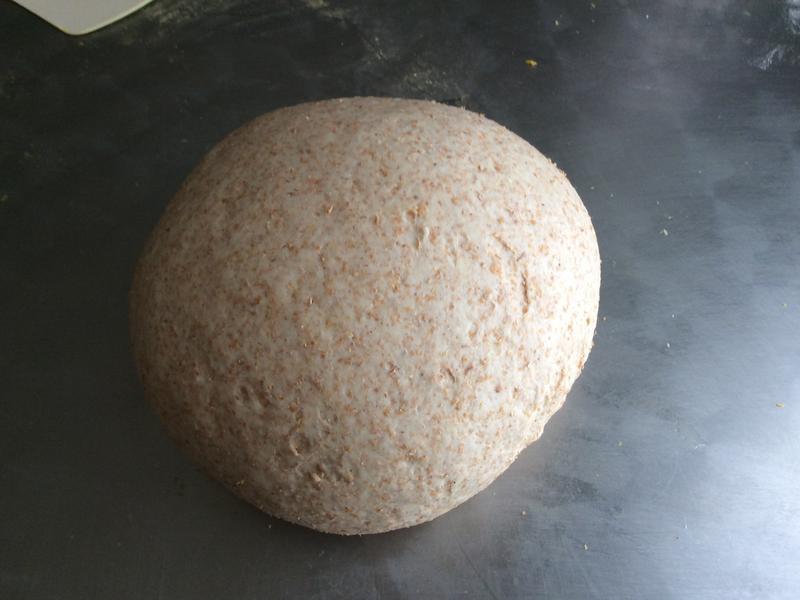 ȫ�����Ѹ����������