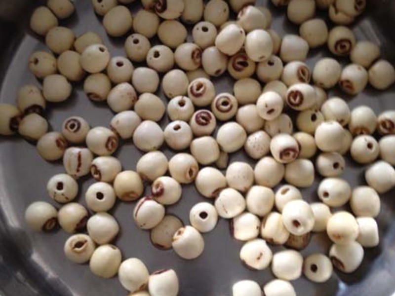 �춹����������(�������)������