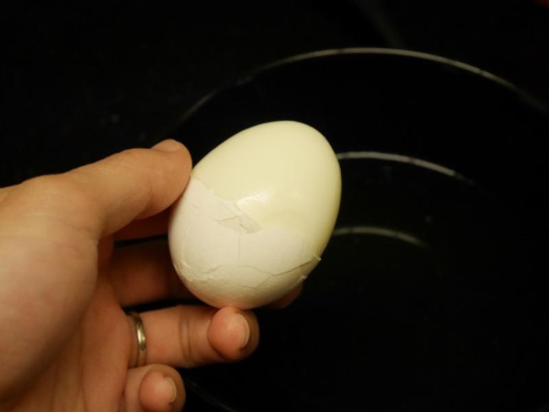 ζ���������������