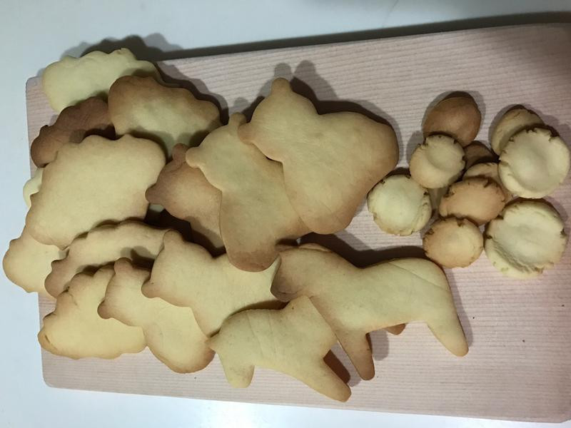 �������ͱ��ɵ�����