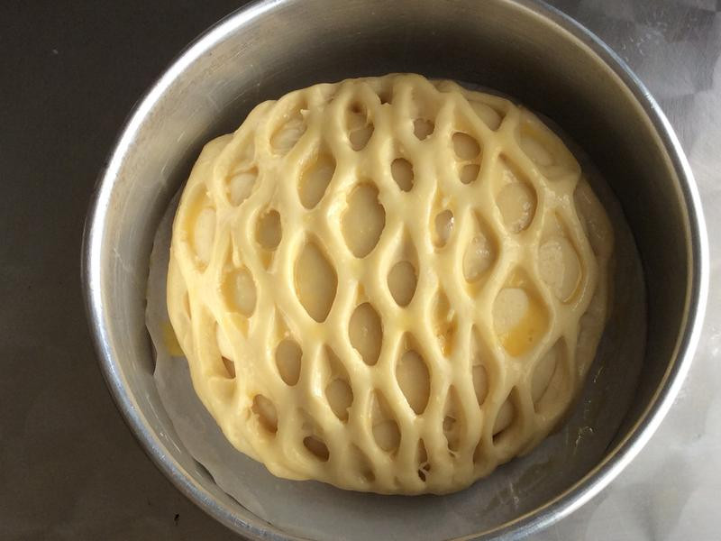 ���ƹ����������������