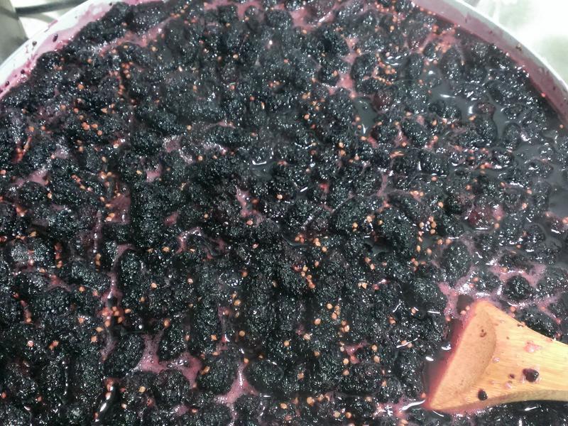 ɣ驹��� # �Եõ���ʵࡡ�������