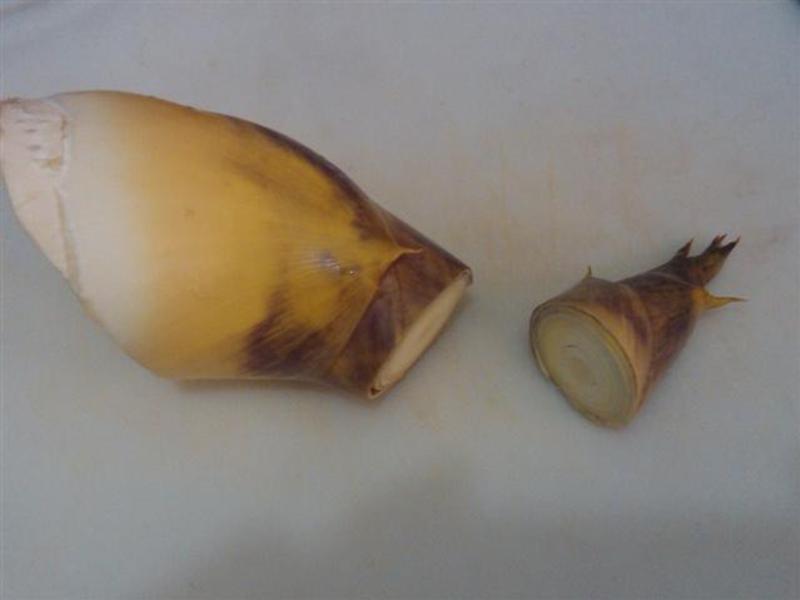 ��������[���][�ļ��޶�]������