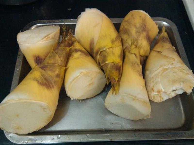 ��������[���][�ļ��޶�]������