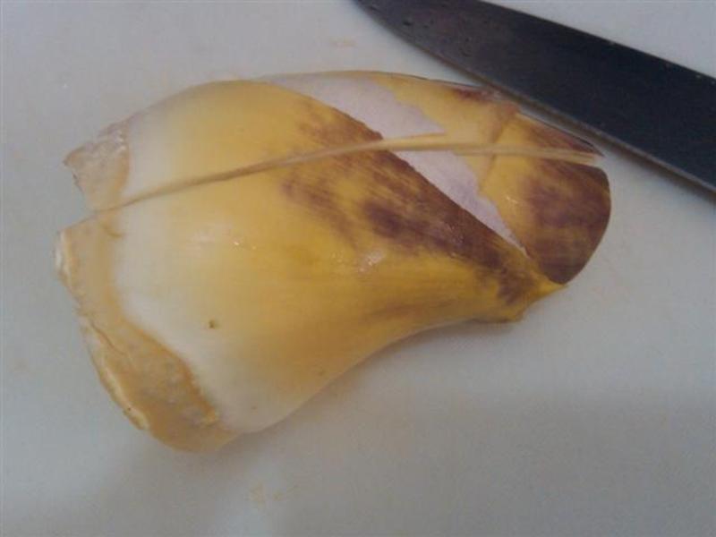 ��������[���][�ļ��޶�]������