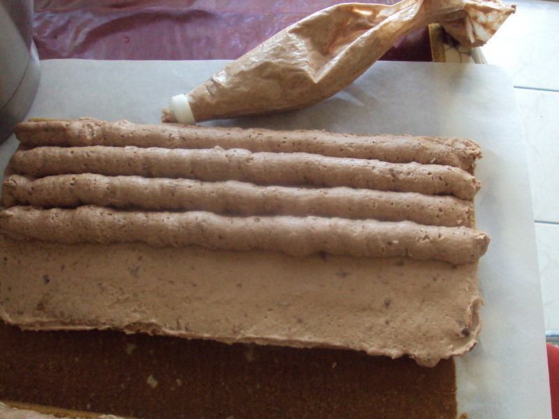 黹����ȵ��������