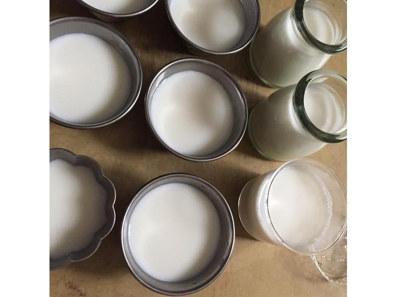 ��â�����ǵ�֬�����ҡ�������