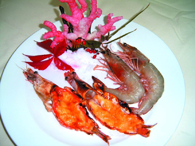 ���Ϳ���Ϻ������