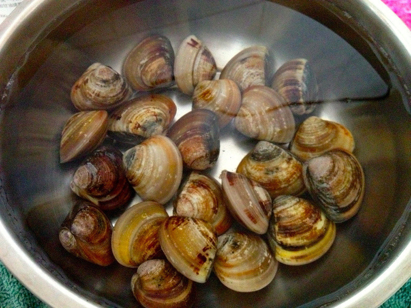 ���ۻ��㹽˿�ϣ� Polydice �����������͵ڶ��ص�����