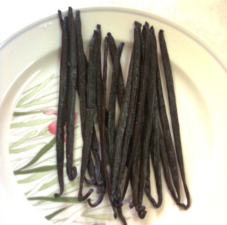 �Լ�Ѭ�Ʒ������ǻ���ݶ��ǵ�����