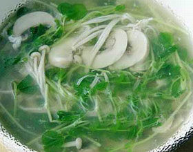 ����Ģ����������