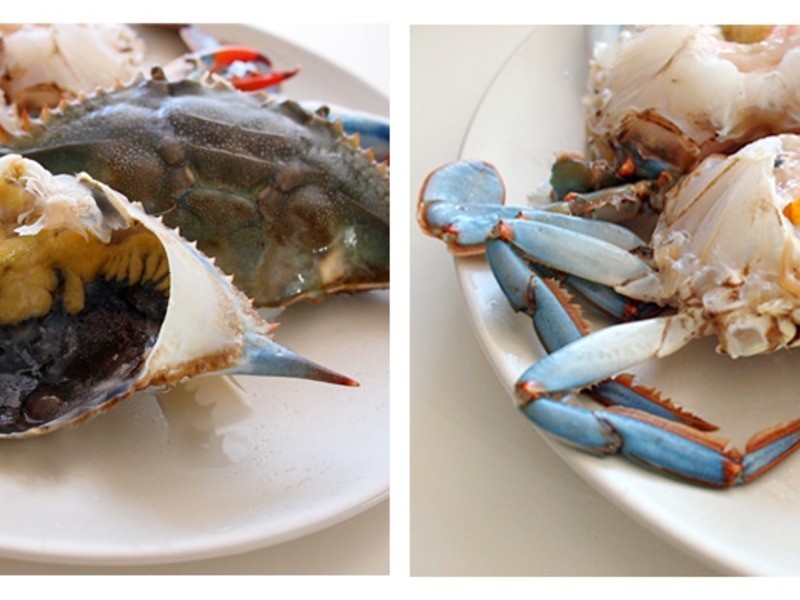 ���ļ�����ζ֮�＾����������������з������