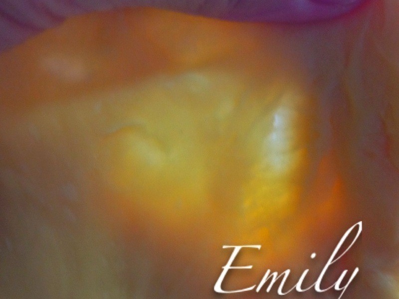 ��Ũ�������������������