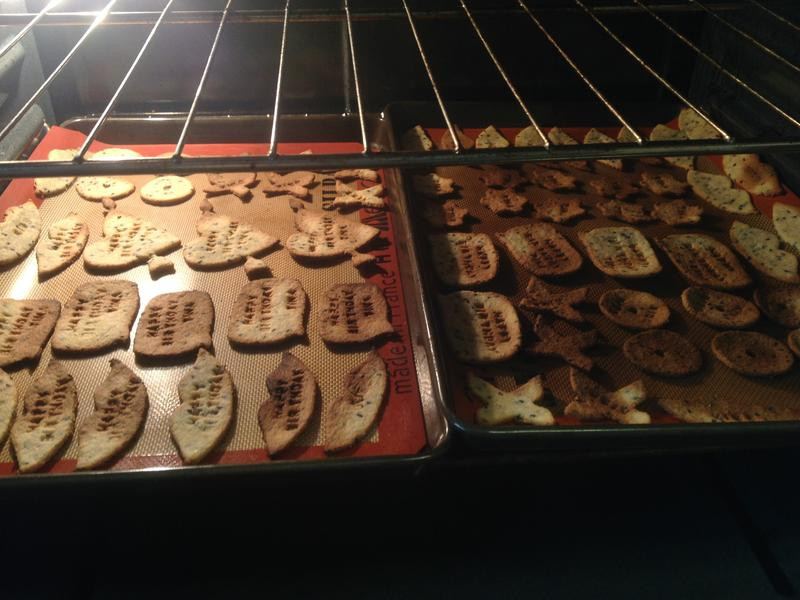 ���ֱ���ģ�͵�����