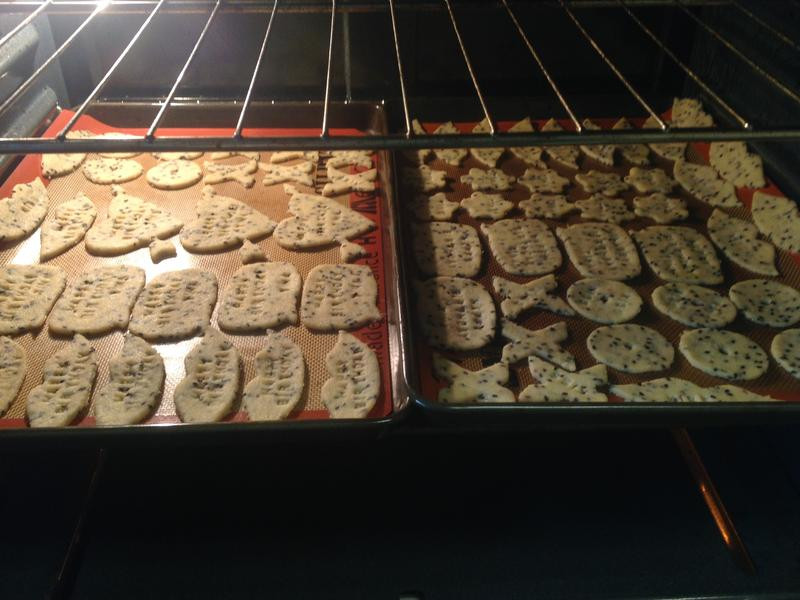 ���ֱ���ģ�͵�����