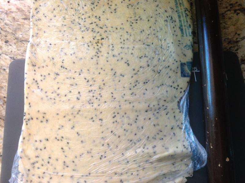 ���ֱ���ģ�͵�����