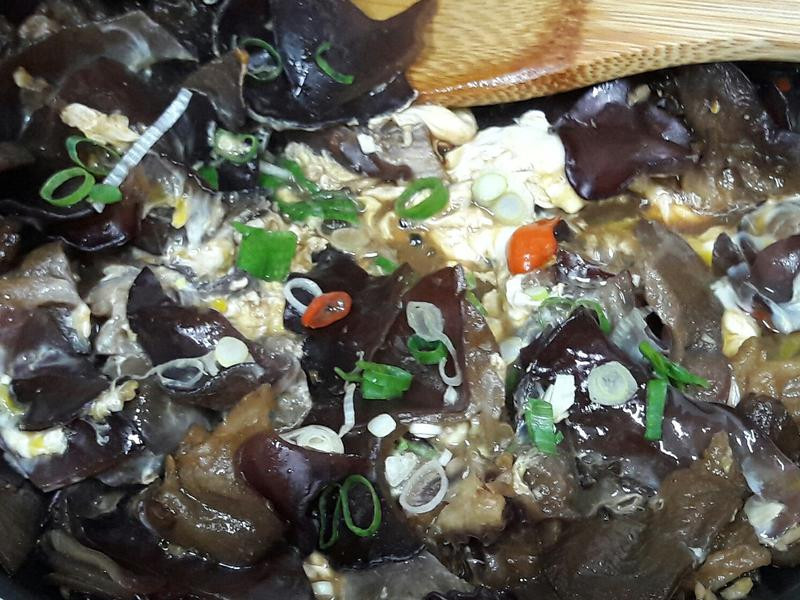 ��������ľ������������