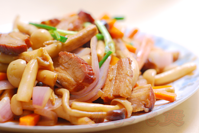 ˫�������Ʋ��յ�����