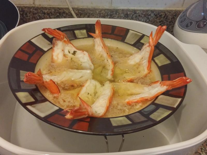 ���񵰰�����Ϻ������