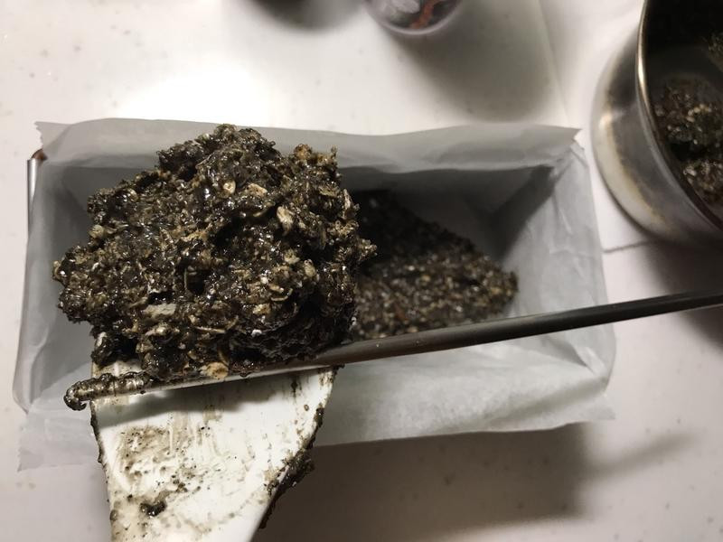 10���ӽ����ߵ��װ�������