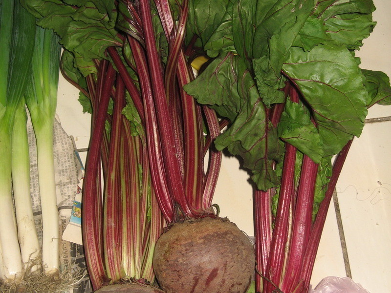 ��˸�Ҷ������&����ĩ&����������