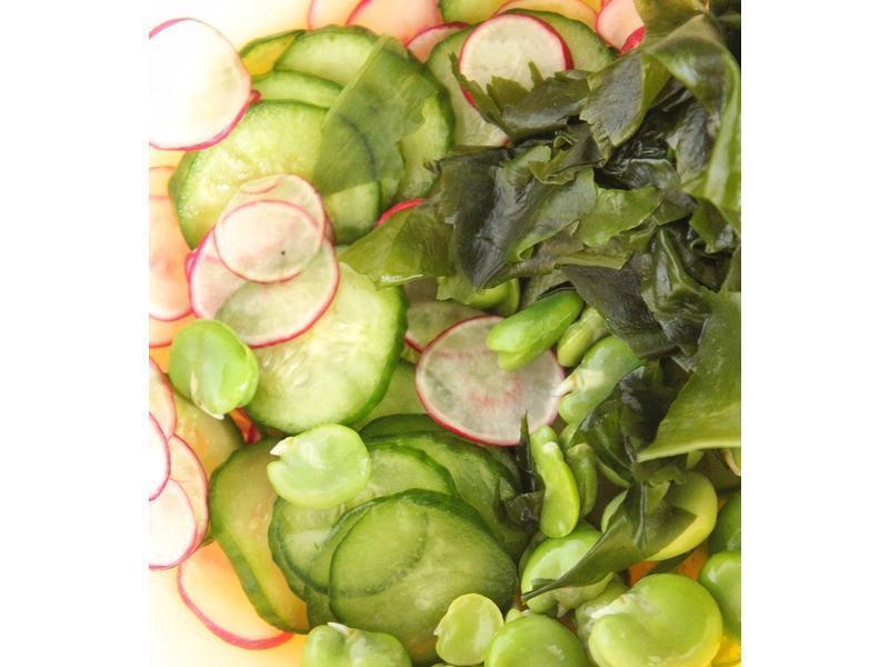 ��ʽ����С�ƹ�ɳ��������