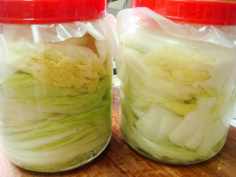 ������ײ˳���Ƭ������