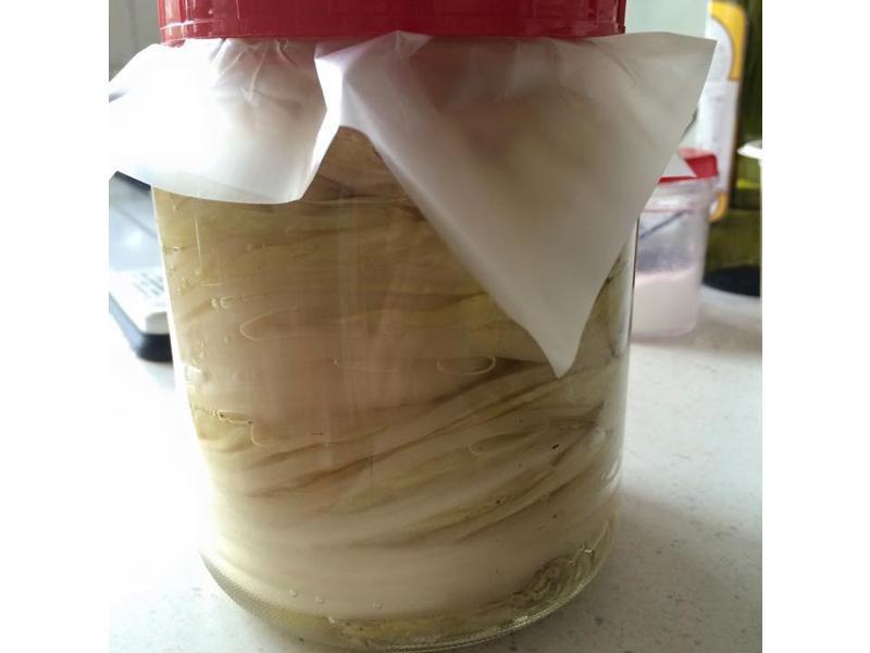 ������ײ˳���Ƭ������