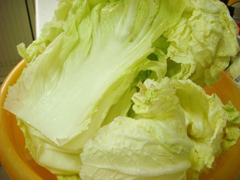 ������ײ˳���Ƭ������