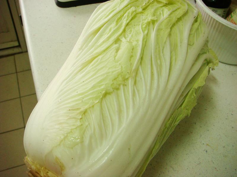 ������ײ˳���Ƭ������