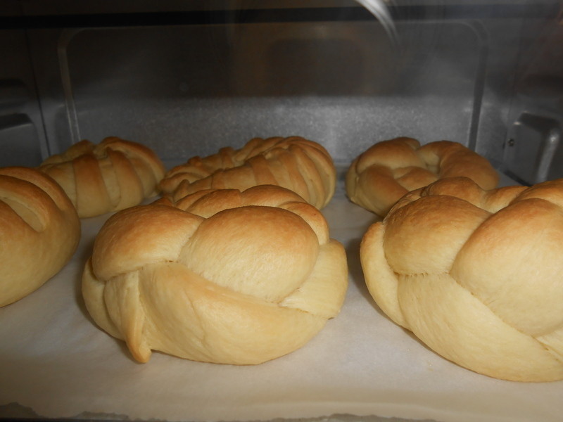 ����������ɳ�����������