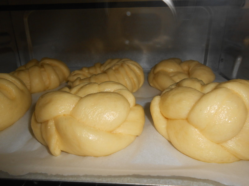 ����������ɳ�����������