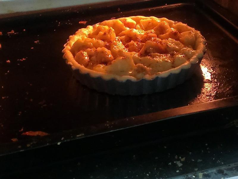 ���ɼ���~����ƻ���ɵ�����