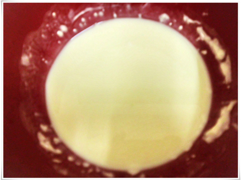 �����������ζ--������������������