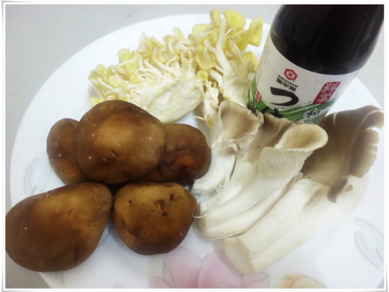 �����������ζ--������������������