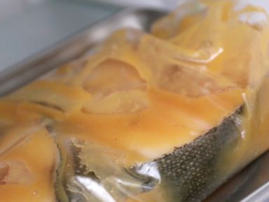 �h���������������