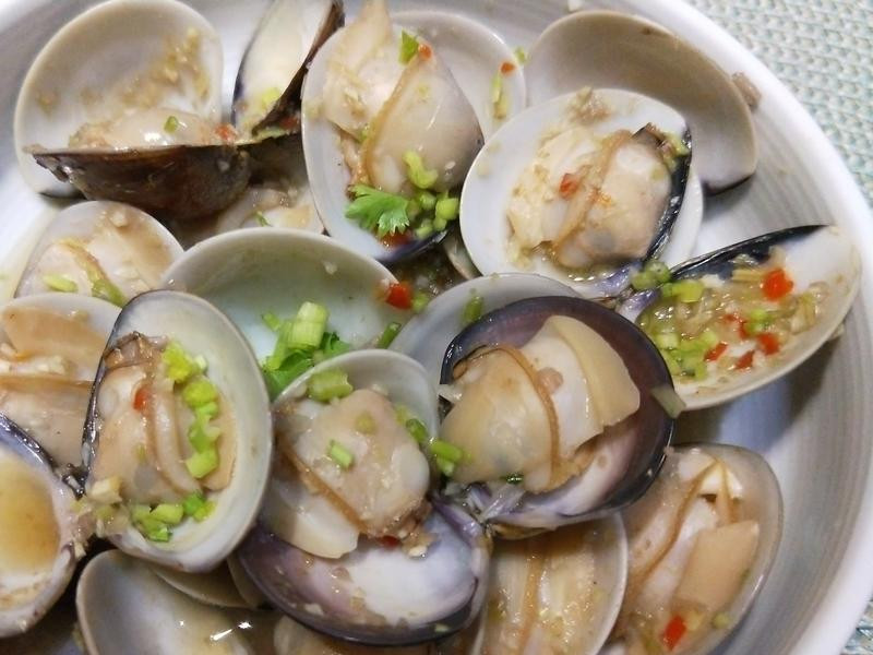 ̩ʽ�����۵�����